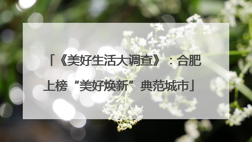 《美好生活大调查》：合肥上榜“美好焕新”典范城市