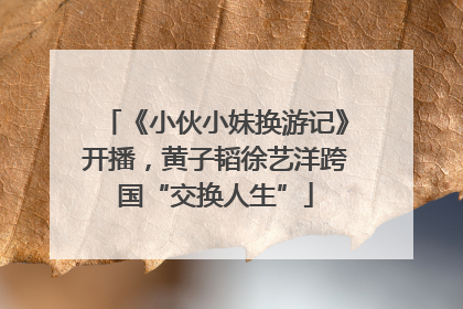 《小伙小妹换游记》开播，黄子韬徐艺洋跨国“交换人生”