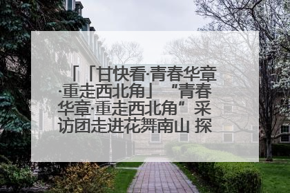 「甘快看·青春华章·重走西北角」“青春华章·重走西北角”采访团走进花舞南山 探寻天水乡村振兴之路