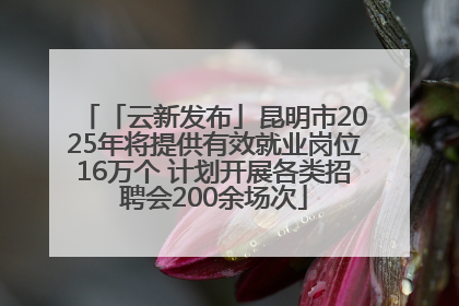 「云新发布」昆明市2025年将提供有效就业岗位16万个 计划开展各类招聘会200余场次