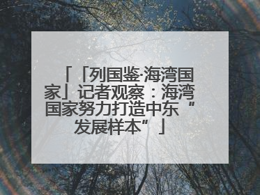「列国鉴·海湾国家」记者观察：海湾国家努力打造中东“发展样本”