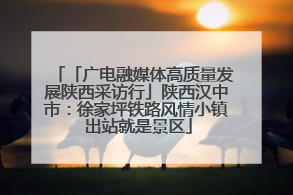 「广电融媒体高质量发展陕西采访行」陕西汉中市：徐家坪铁路风情小镇 出站就是景区