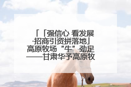「强信心 看发展·招商引资拼落地」高原牧场“牛”劲足——甘肃华予高原牧场高标准奶牛肉牛养殖项目一线见闻