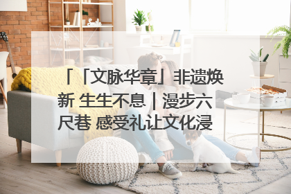 「文脉华章」非遗焕新 生生不息｜漫步六尺巷 感受礼让文化浸润的“巷”往生活