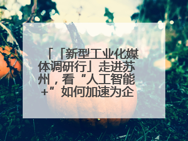 「新型工业化媒体调研行」走进苏州，看“人工智能+”如何加速为企业“变现”