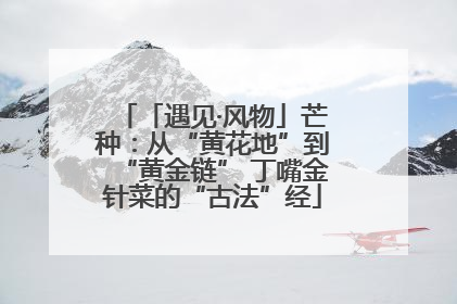 「遇见·风物」芒种：从“黄花地”到“黄金链” 丁嘴金针菜的“古法”经