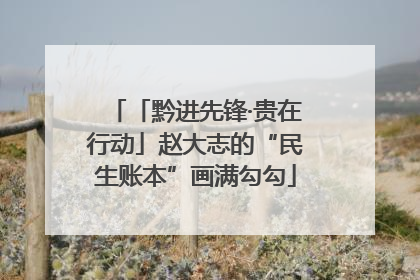 「黔进先锋·贵在行动」赵大志的“民生账本”画满勾勾