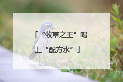 “牧草之王”喝上“配方水”