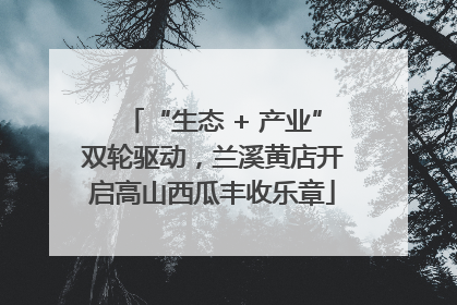“生态 + 产业”双轮驱动，兰溪黄店开启高山西瓜丰收乐章