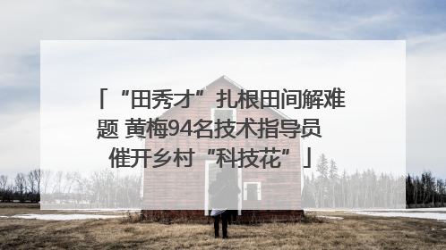 “田秀才”扎根田间解难题 黄梅94名技术指导员催开乡村“科技花”