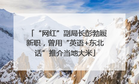 “网红”副局长彭勃履新职，曾用“英语+东北话”推介当地大米