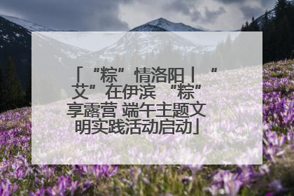 “粽”情洛阳丨“艾”在伊滨 “粽”享露营 端午主题文明实践活动启动