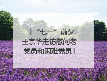 “七一”前夕 王宗华走访慰问老党员和困难党员