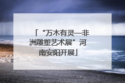 “万木有灵—非洲雕塑艺术展”河南安阳开展