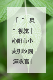 “三夏”视觉｜沁阳市小麦机收圆满收官