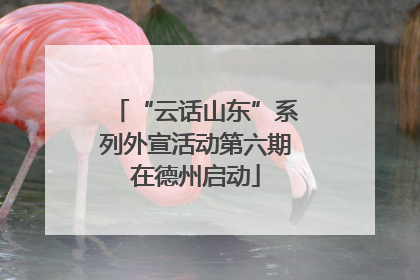 “云话山东”系列外宣活动第六期在德州启动