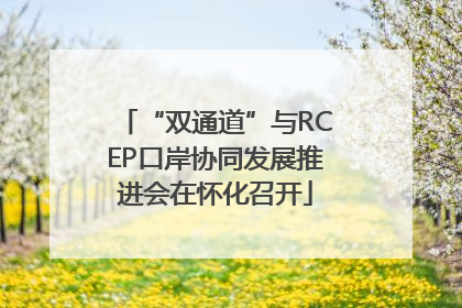 “双通道”与RCEP口岸协同发展推进会在怀化召开