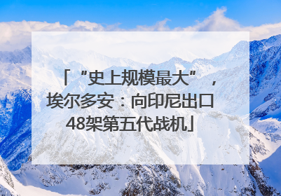 “史上规模最大”，埃尔多安：向印尼出口48架第五代战机