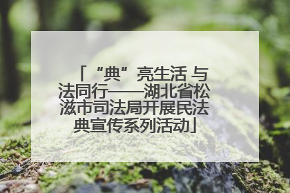 “典”亮生活 与法同行——湖北省松滋市司法局开展民法典宣传系列活动