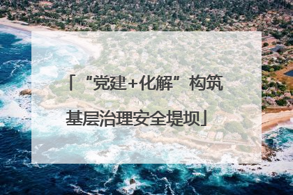 “党建+化解”构筑基层治理安全堤坝