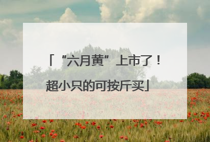 “六月黄”上市了！超小只的可按斤买