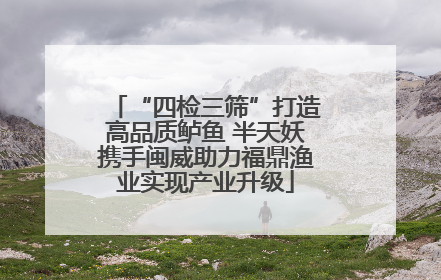 “四检三筛”打造高品质鲈鱼 半天妖携手闽威助力福鼎渔业实现产业升级