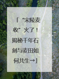 “宋陵麦收”火了！揭秘千年石刻与麦田如何共生→