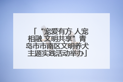 “宠爱有方 人宠相融 文明共享”青岛市市南区文明养犬主题实践活动举办
