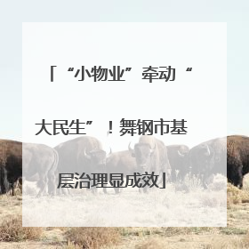 “小物业”牵动“大民生”！舞钢市基层治理显成效