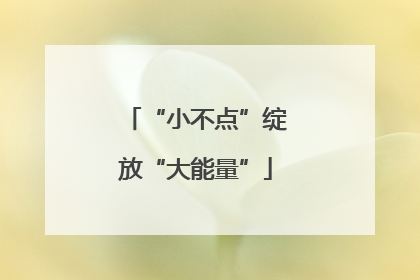 “小不点”绽放“大能量”