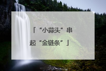 “小蒜头”串起“金链条”