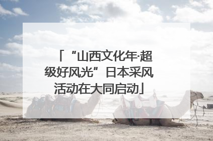 “山西文化年·超级好风光”日本采风活动在大同启动