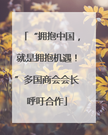 “拥抱中国，就是拥抱机遇！”多国商会会长呼吁合作