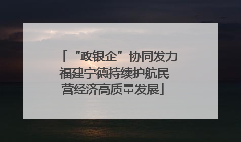 “政银企”协同发力 福建宁德持续护航民营经济高质量发展