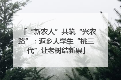 “新农人”共筑“兴农路”：返乡大学生“桃三代”让老树结新果