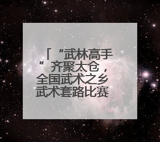 “武林高手”齐聚太仓，全国武术之乡武术套路比赛开赛