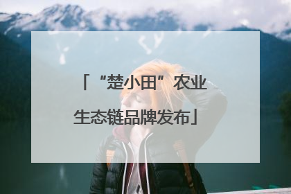 “楚小田”农业生态链品牌发布