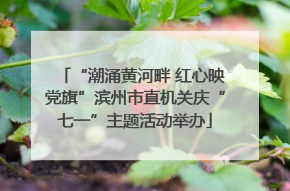 “潮涌黄河畔 红心映党旗”滨州市直机关庆“七一”主题活动举办