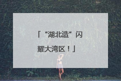 “湖北造”闪耀大湾区！