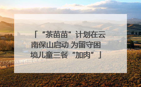 “茶苗苗”计划在云南保山启动 为留守困境儿童三餐“加肉”