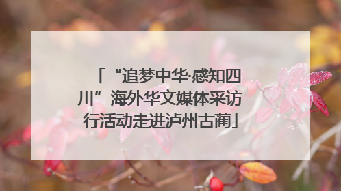 “追梦中华·感知四川”海外华文媒体采访行活动走进泸州古蔺