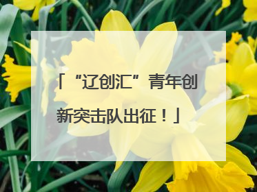 “辽创汇”青年创新突击队出征！