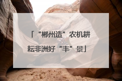 “郴州造”农机耕耘非洲好“丰”景