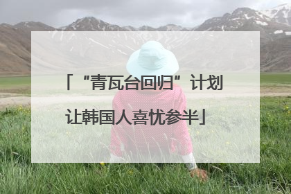 “青瓦台回归”计划让韩国人喜忧参半