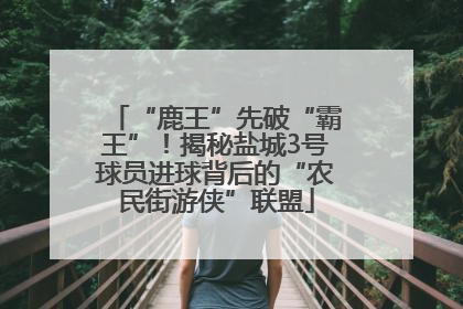 “鹿王”先破“霸王”！揭秘盐城3号球员进球背后的“农民街游侠”联盟