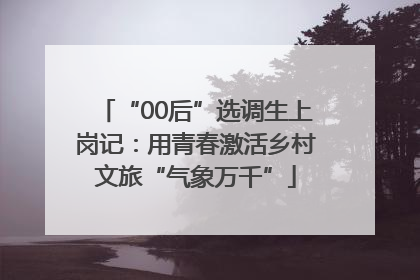 “00后”选调生上岗记：用青春激活乡村文旅“气象万千”