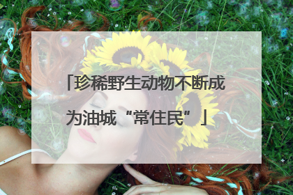 珍稀野生动物不断成为油城“常住民”