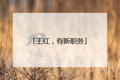 王红，有新职务