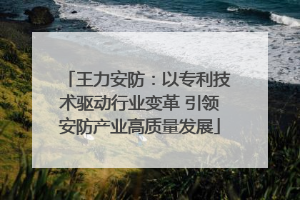 王力安防：以专利技术驱动行业变革 引领安防产业高质量发展