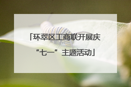 环翠区工商联开展庆“七一”主题活动
